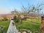 Immagine 27