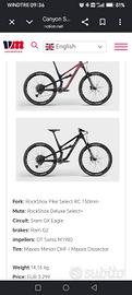 Mountain bike