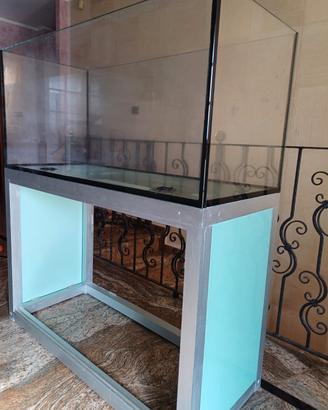 acquario Marino 