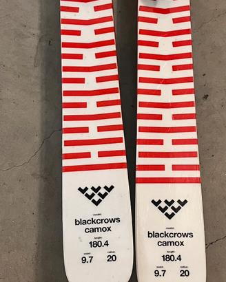 Black Crows