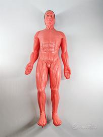 Modellino esplorando il corpo umano '80