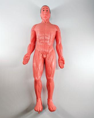 Modellino esplorando il corpo umano '80