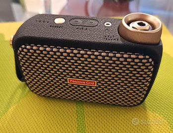 Positive grid Spark Go