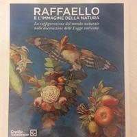 Libro Raffaello e l'immagine della natura
