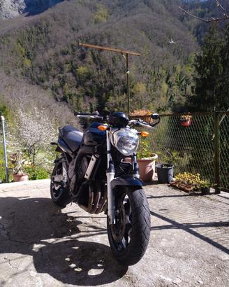 Yamaha fz6 