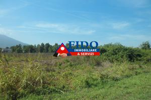 Terreno agricolo di 24.300 mq