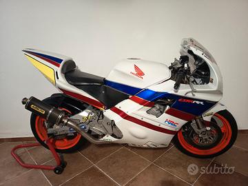 honda CBR 600 Pronto pista RADIATA