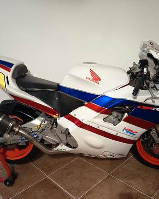 honda CBR 600 Pronto pista RADIATA