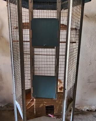 Gabbia per uccellini