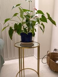 Tavolino da caffe dorato