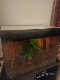 acquario askoll pure l led 