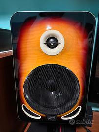 Due casse Gibson les paul