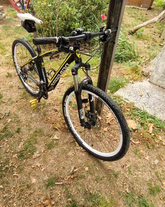 bicicletta mtb 27.5 torpado 
