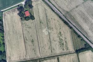 TER. AGRICOLO A FERRARA