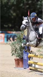Vendita pony