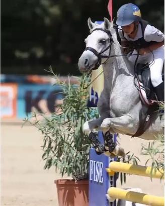 Vendita pony