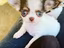 Immagine 2