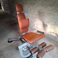 leg extetion/ leg curl