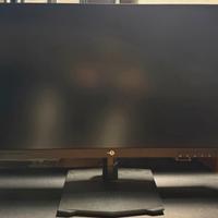Monitor 24,5 pollici FHD IPS 300 Hz