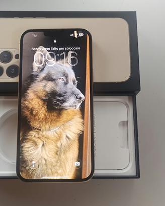 iPhone 13 pro max 1tb oro