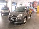 fiat-panda-1-0-hybrid-70cv-aziendale
