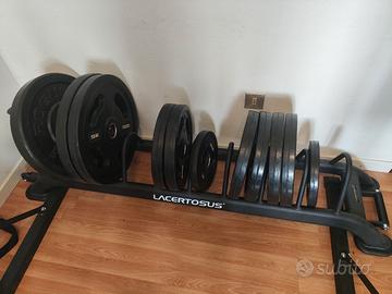 rastrelliera porta dischi Lacertosus Elite