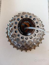 PACCO PIGNONI MICHE 11V PER ESORDIENTI