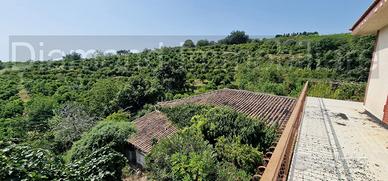 Terreno con fabbricati a Giarre