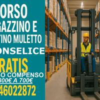 Corso magazzino patentino muletto Gratis Monselice