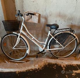 Bici olandesina