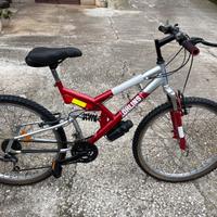 Mountain Bike 26  Shimano seminuova