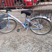 bicicletta per ragazza battecchia 