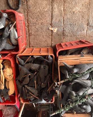 Caccia volombacci richiami giostre elettriche