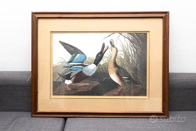 Quadro con Anatre
