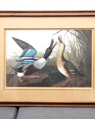 Quadro con Anatre