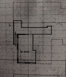 Ampia e luminosa taverna, cantina