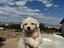 Immagine 1