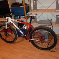 bici in carbonio monoforcella cannondale