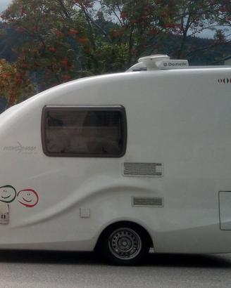 Wingamm Rookie 3.5