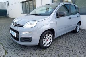 FIAT Panda 1.2 BENZINA 69CV EASY PREZZO REALE!