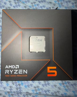 Ryzen 5 7600X