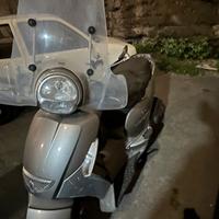 Scarabeo solo passaggio