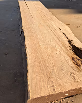 tavola in legno 