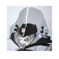 Cupolino - Parabrezza Kymco People 300 gti