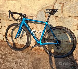 Basso Venta 2019