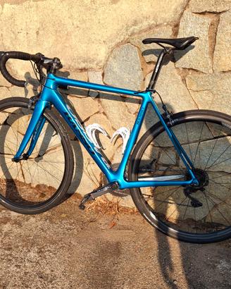 Basso Venta 2019