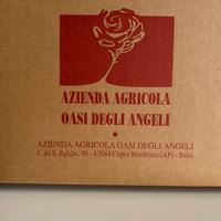 Cartone di Kurni 2023