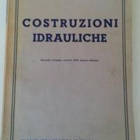 Libro ingegneria costruzioni idraulica Baggi