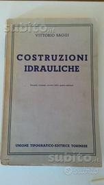 Libro ingegneria costruzioni idraulica Baggi