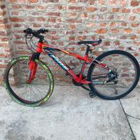 Bicicletta mountainbike 26 pollici ragazzo ragazza
